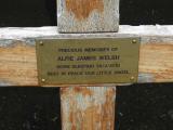 image of grave number 830666